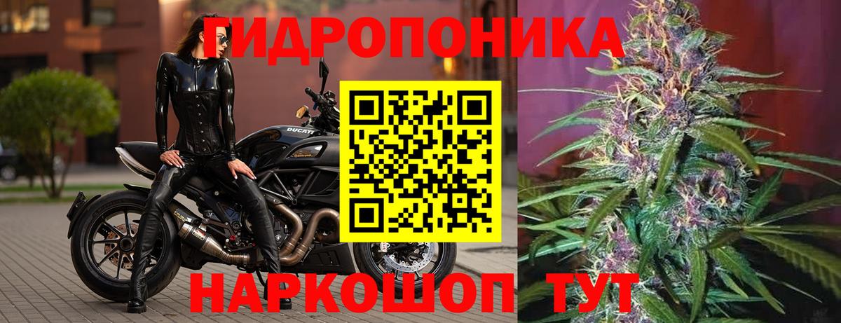 Каннабис марихуана  Бошки марихуана планчик  Гусь-Хрустальный  Вход с VPN  Каннабис план  Бошки Шишки LSD WEED 